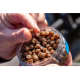 Pelete Moi Sonubaits - Hookable Expander Pellets - F1 6mm